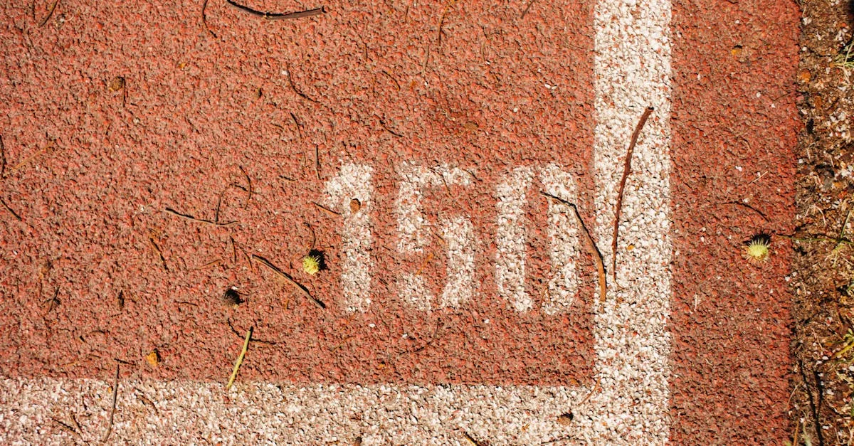 découvrez la caponata, une délicieuse spécialité sicilienne à base d'aubergines, tomates, olives et câpres, idéale pour un apéritif ou un accompagnement savoureux.