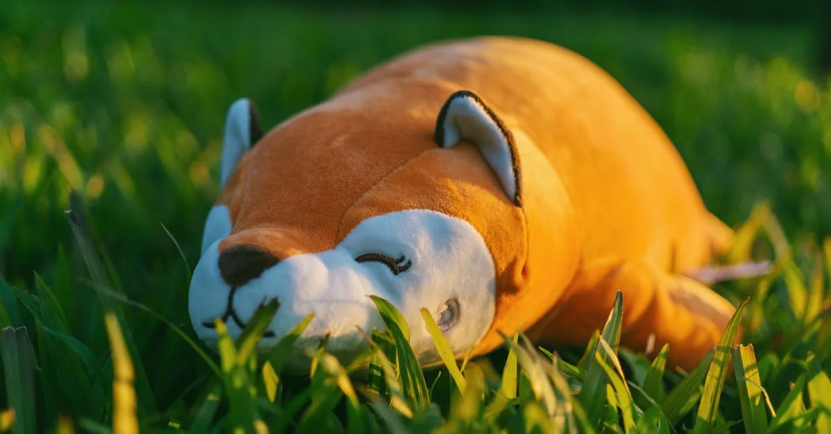 découvrez les meilleures alternatives à la fécule de maïs pour épaissir vos plats et pâtisseries, adaptées à tous types de recettes.