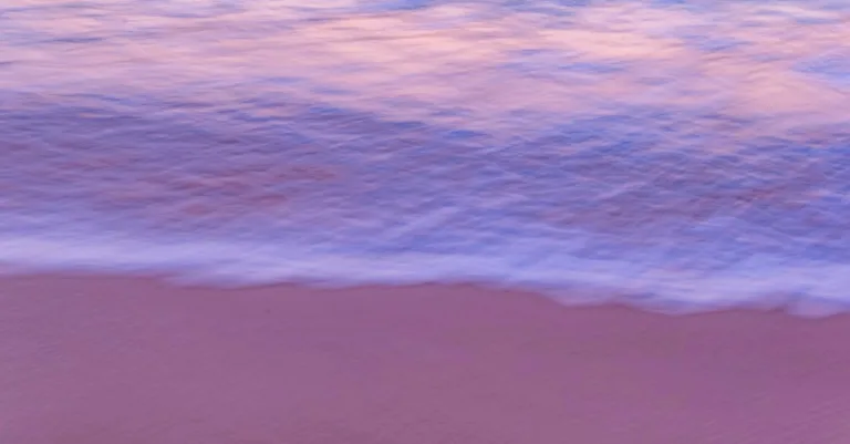 intraparis : votre guide complet pour découvrir les meilleures adresses, événements et actualités au cœur de paris.