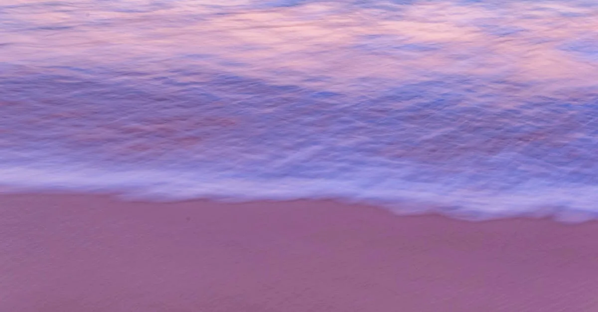 intraparis : votre guide complet pour découvrir les meilleures adresses, événements et actualités au cœur de paris.