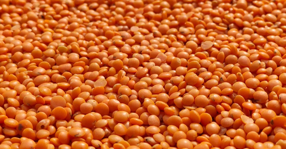 découvrez une recette savoureuse de dahl de lentilles corail, facile à préparer et parfaite pour un repas sain et réconfortant.