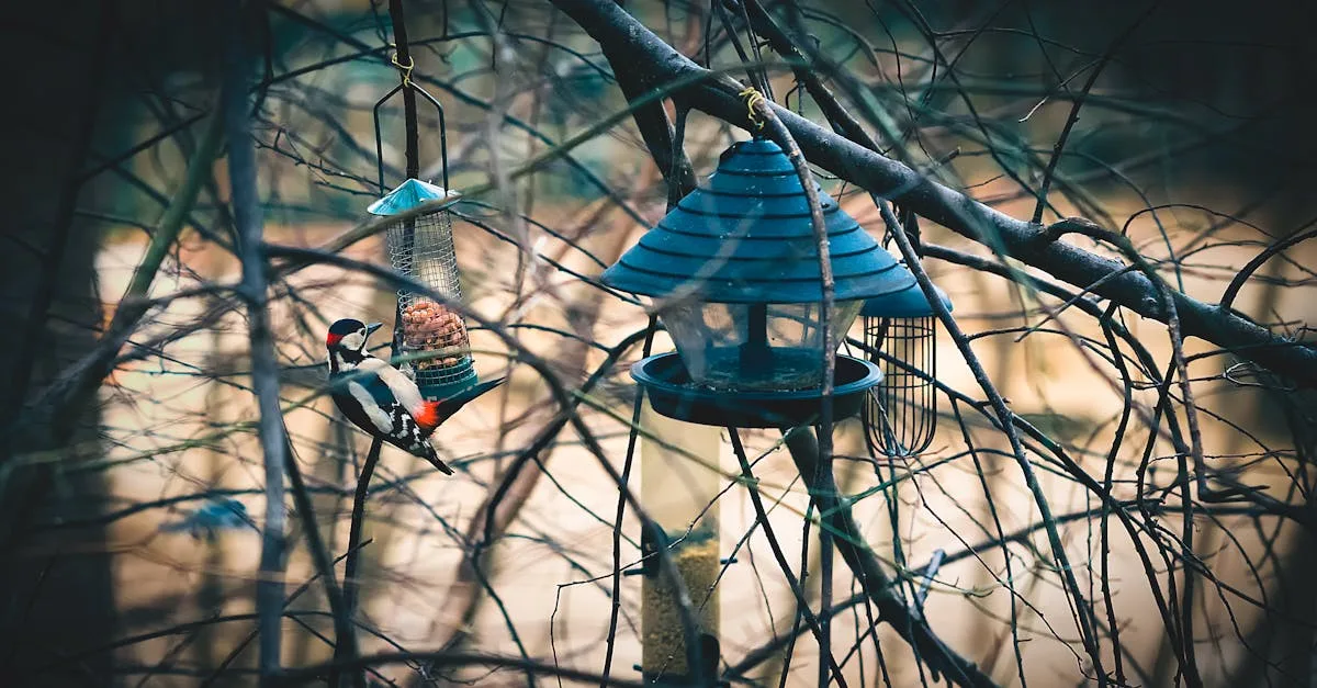 découvrez comment attirer des mésanges dans une maison pour oiseaux grâce à nos conseils pratiques et astuces simples.