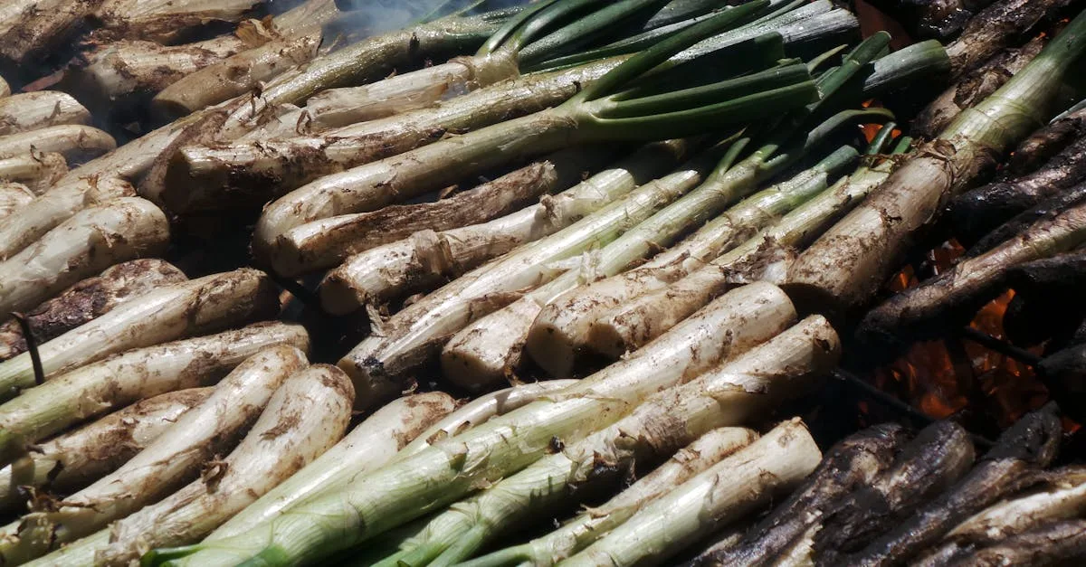 découvrez les meilleures techniques pour transplanter les poireaux avec succès et assurer une croissance optimale dans votre potager.