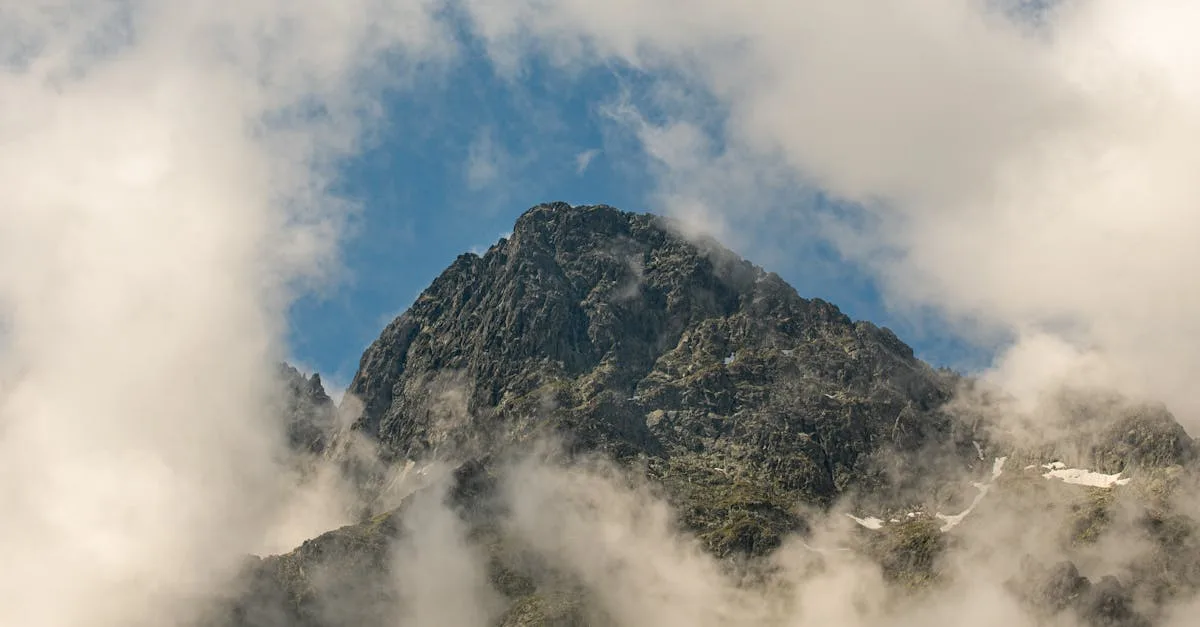 découvrez les recettes populaires les plus appréciées, faciles à préparer et parfaites pour toutes les occasions.