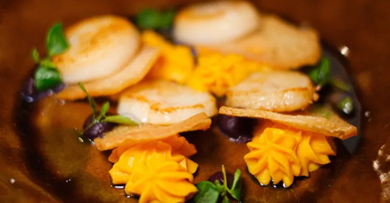 découvrez tout sur les coquilles saint-jacques : recettes, conseils de cuisson et bienfaits nutritionnels pour savourer ce délicieux fruit de mer.