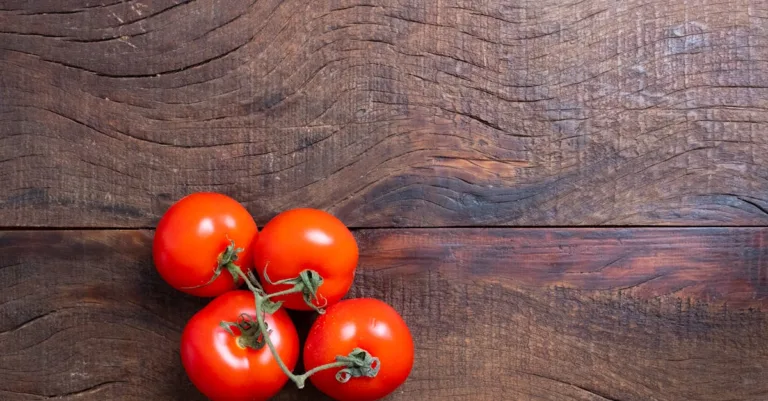 découvrez l'espacement optimal pour planter vos tomates afin d'assurer leur croissance saine et une récolte abondante.