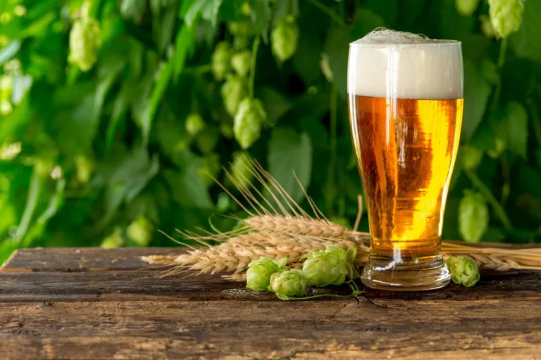 Du malt au houblon : comprendre les ingrédients clés du brassage