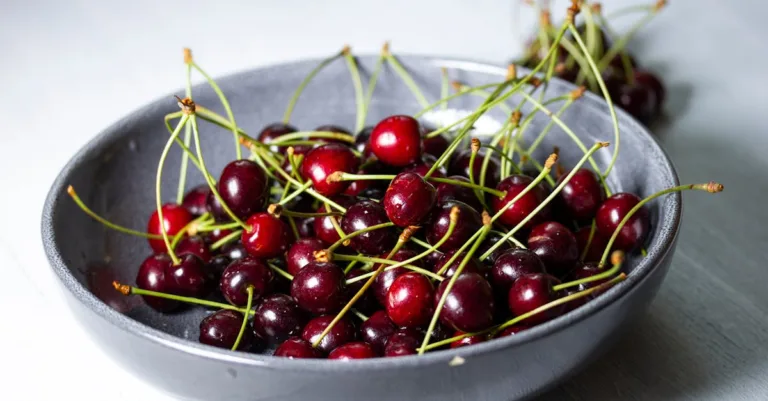 découvrez nos cerises amarena, délicieusement confites et parfaites pour sublimer vos desserts et pâtisseries.