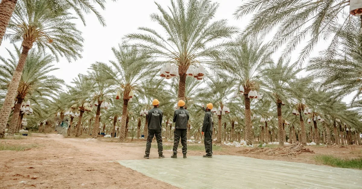 découvrez toutes les dates importantes à ne pas manquer, événements clés et calendrier détaillé pour rester informé et planifier efficacement.