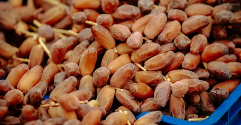 découvrez toutes les dates importantes à ne pas manquer, événements clés et rendez-vous essentiels pour bien organiser votre calendrier.