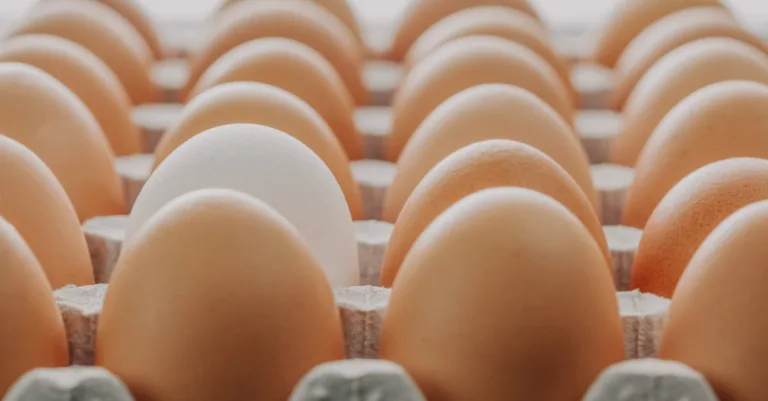 testez la fraîcheur de vos œufs facilement à la maison grâce à notre méthode simple et rapide.