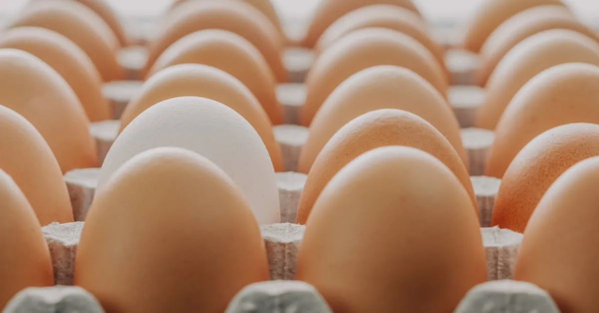 testez la fraîcheur de vos œufs facilement à la maison grâce à notre méthode simple et rapide.
