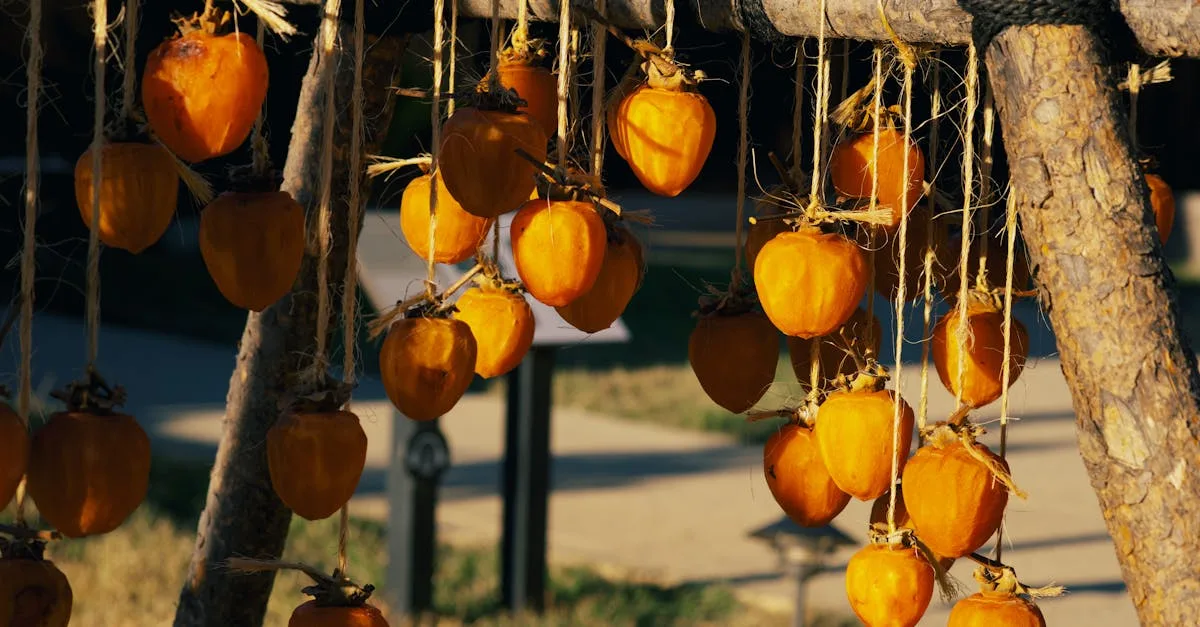 découvrez tout sur le kaki : ses bienfaits, comment le choisir et des idées recettes pour savourer ce fruit d'automne délicieux et nutritif.