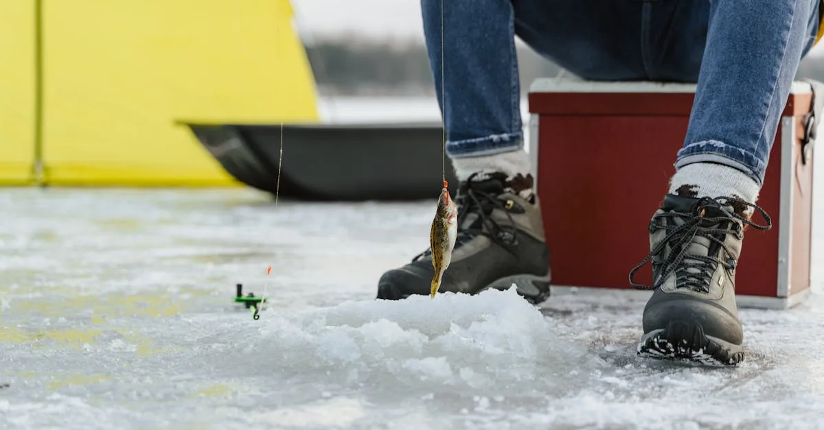 découvrez tout sur la morsure de brochet : symptômes, traitements et conseils pour agir rapidement et efficacement.