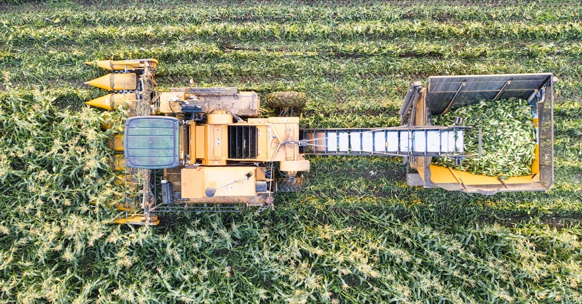 agriconvivial : découvrez une approche conviviale et durable de l'agriculture, alliant innovation et respect de la nature pour un avenir meilleur.