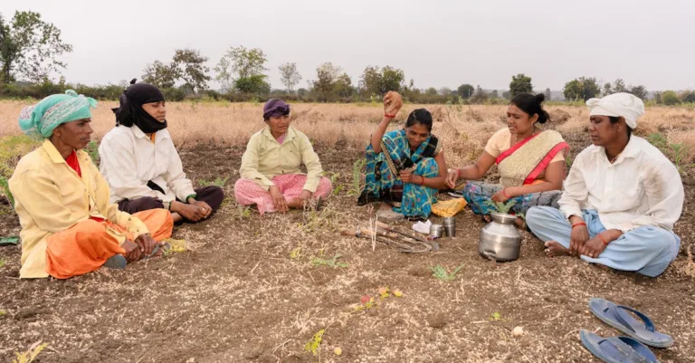 agriconvivial : une approche conviviale et durable de l'agriculture pour rapprocher producteurs et consommateurs.