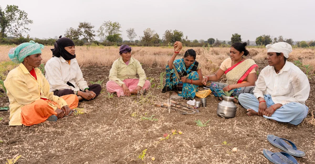 agriconvivial : une approche conviviale et durable de l'agriculture pour rapprocher producteurs et consommateurs.