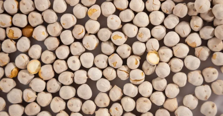 découvrez le temps de cuisson optimal des pois chiches pour des plats savoureux et parfaitement cuits, que ce soit en conserve, secs ou trempés.