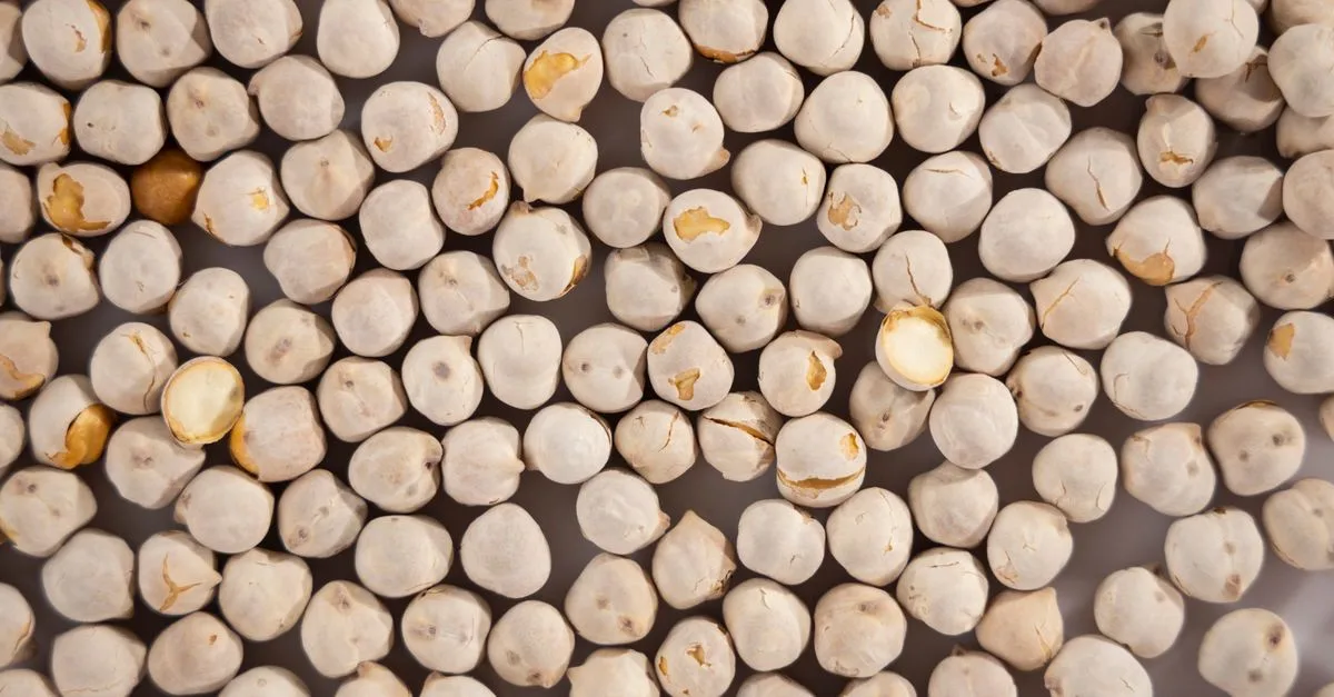 découvrez le temps de cuisson optimal des pois chiches pour des plats savoureux et parfaitement cuits, que ce soit en conserve, secs ou trempés.