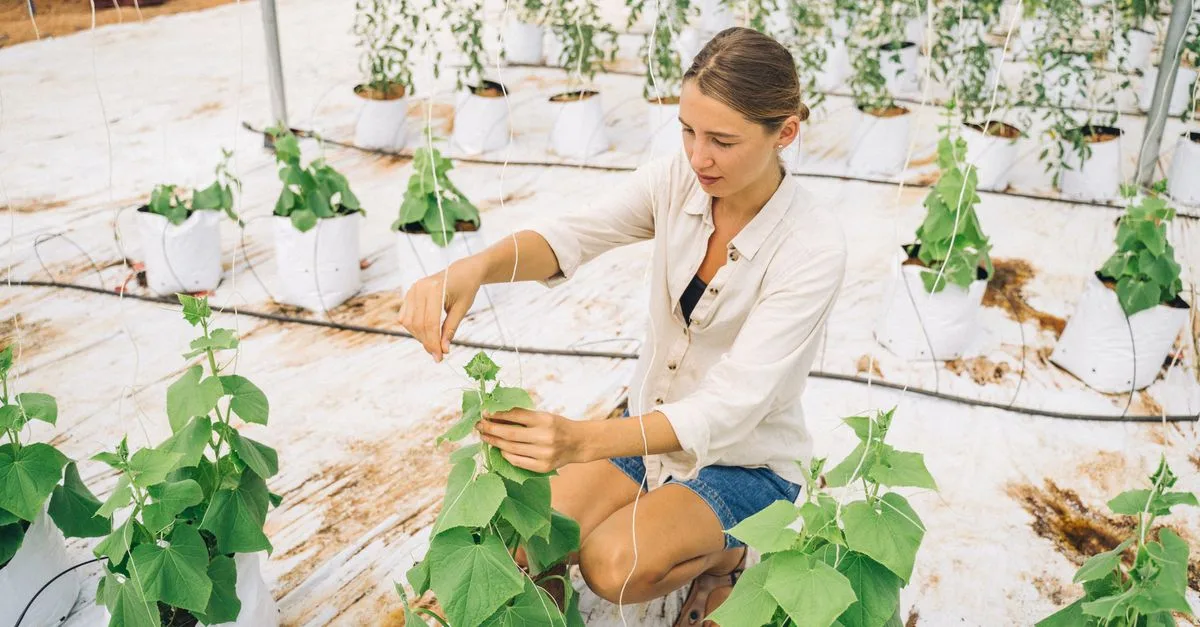 découvrez l'agriculture écologique innovante, une approche durable qui allie technologie avancée et respect de l'environnement pour cultiver de manière responsable et protéger notre planète.