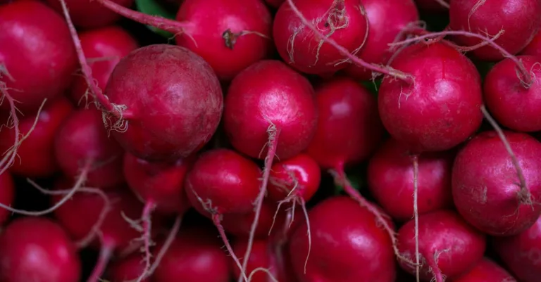 découvrez les bienfaits du radis pour la santé, ses propriétés nutritives et comment l'intégrer facilement dans votre alimentation quotidienne.