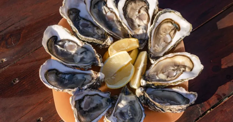 découvrez l'huître de dinde, une délicatesse méconnue offrant une saveur unique et savoureuse, parfaite pour varier vos recettes culinaires.