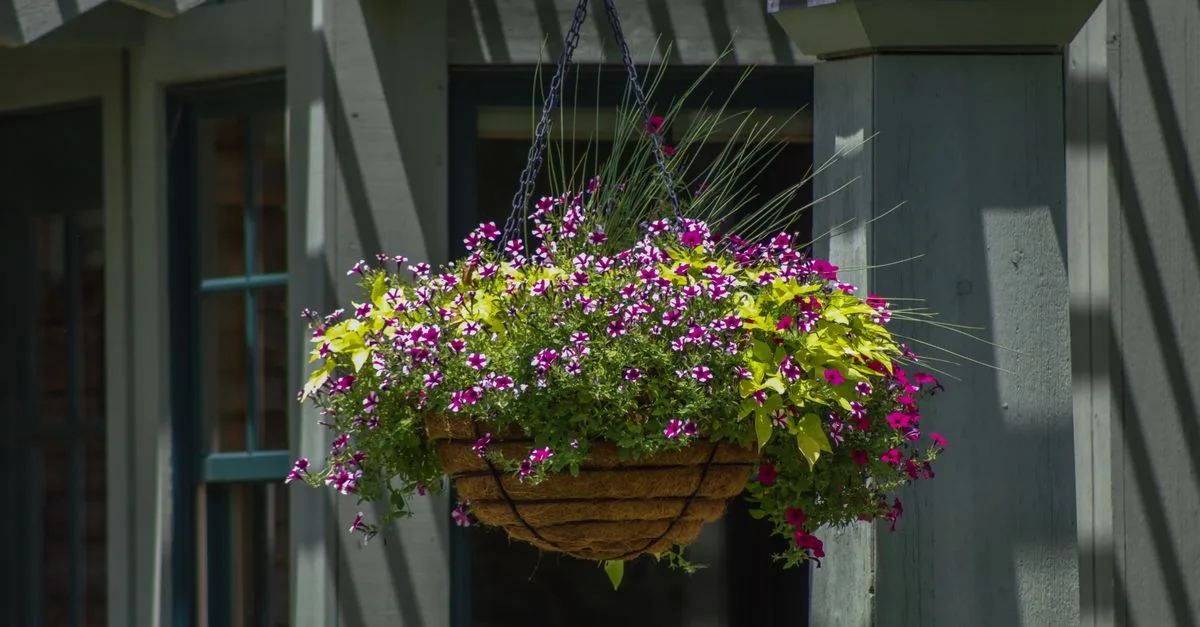 découvrez notre sélection de jardinières pour balcon, parfaites pour égayer votre espace extérieur avec des fleurs et des plantes.