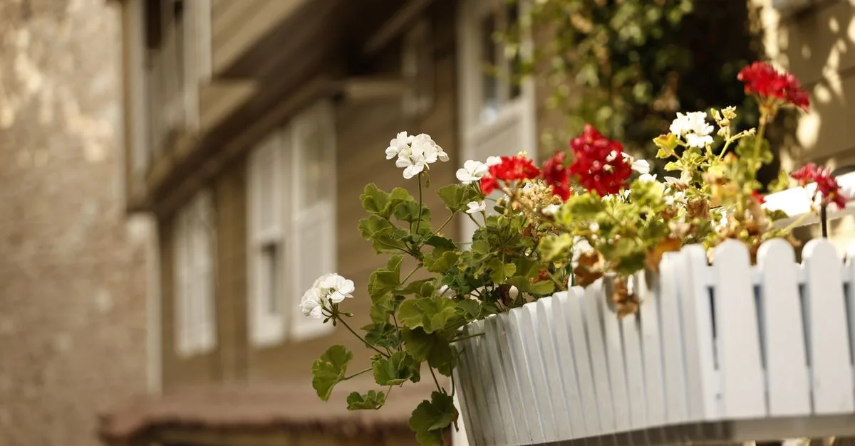 découvrez notre sélection de jardinières pour balcon, parfaites pour embellir et optimiser l'espace de vos espaces extérieurs avec style et praticité.