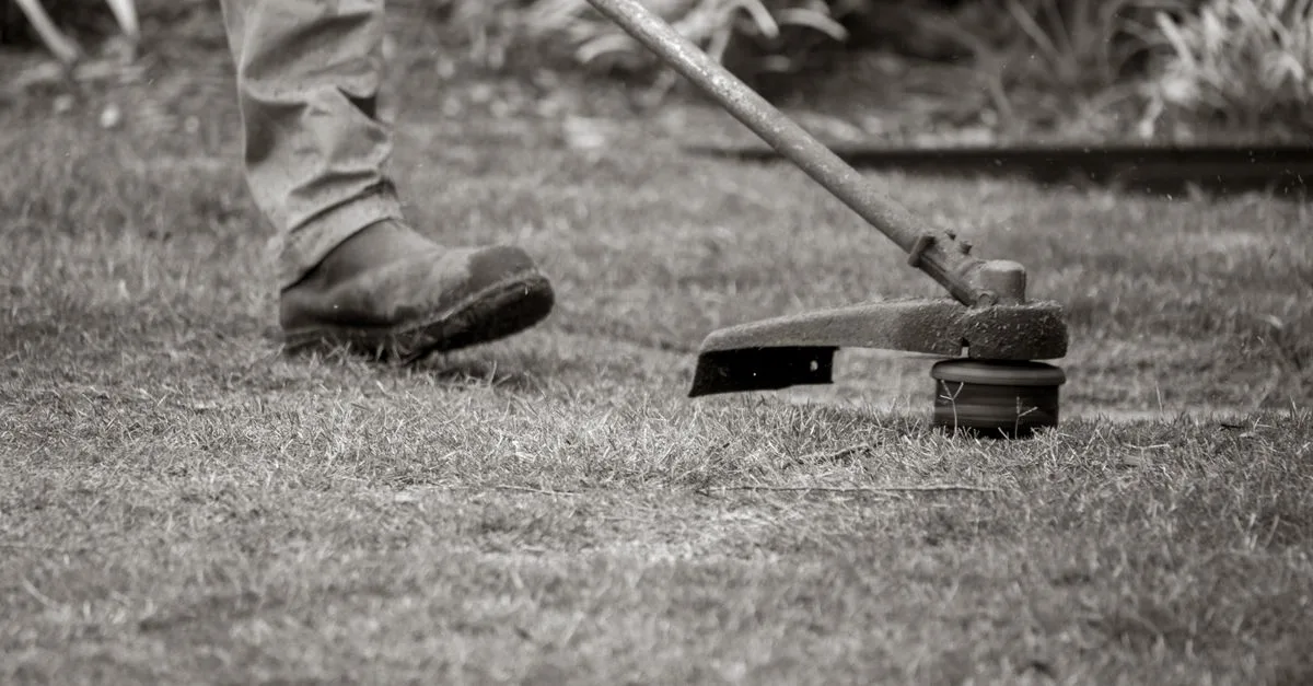 obtenez un devis personnalisé pour l'entretien de votre jardin. services professionnels de maintenance pour un espace extérieur toujours soigné et agréable.