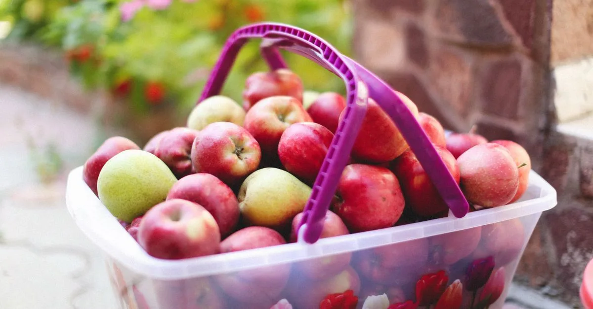 apprenez à conserver la compote de pommes maison pour préserver sa fraîcheur et son goût naturel plus longtemps grâce à nos méthodes simples et efficaces.