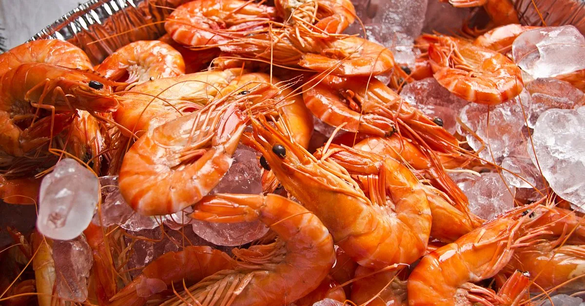 découvrez comment cuire des crevettes crues surgelées facilement, avec des conseils pour préserver leur texture et leur saveur.