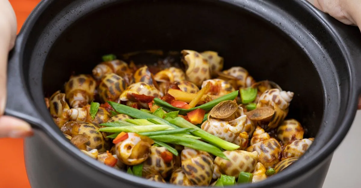 découvrez le temps de cuisson idéal des bulots frais et les conseils pour obtenir une chair tendre et savoureuse.
